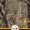 NFL Realtree Camo Pittsburgh Steelers Galaxy Buds Live Skin